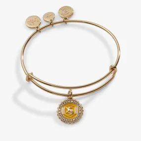 Harry Potter Hufflepuff House Charm Bangle