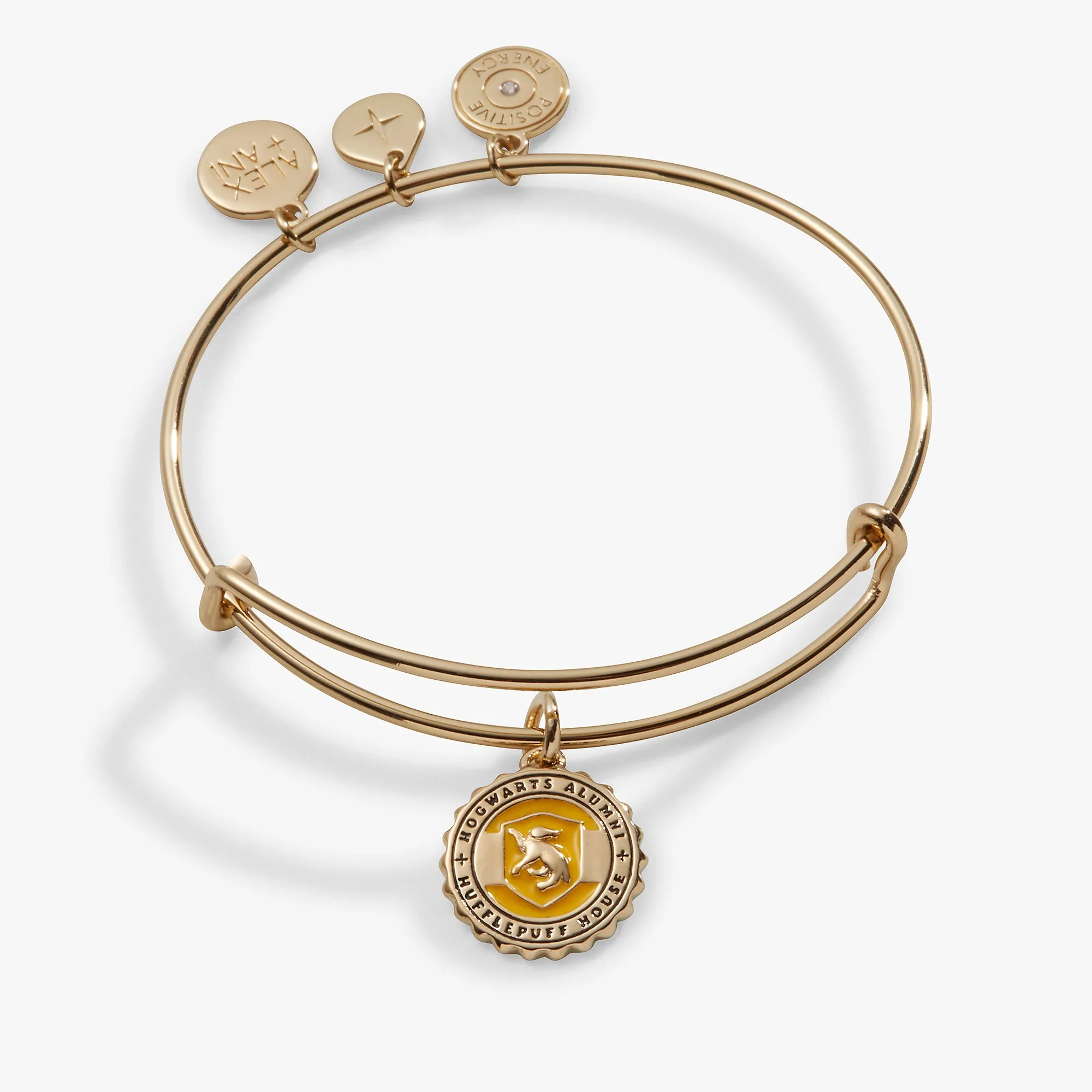 Harry Potter Hufflepuff House Charm Bangle