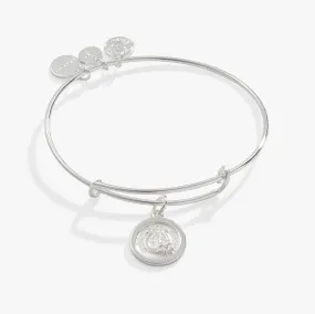 Horseshoe   Clover Charm Bangle Bracelet