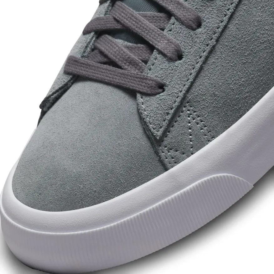 Zoom Blazer Low Pro GT